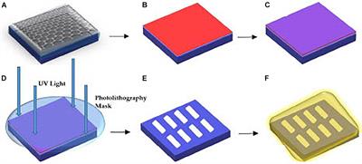 Graphene FET Sensors for Alzheimer’s Disease Protein Biomarker Clusterin Detection